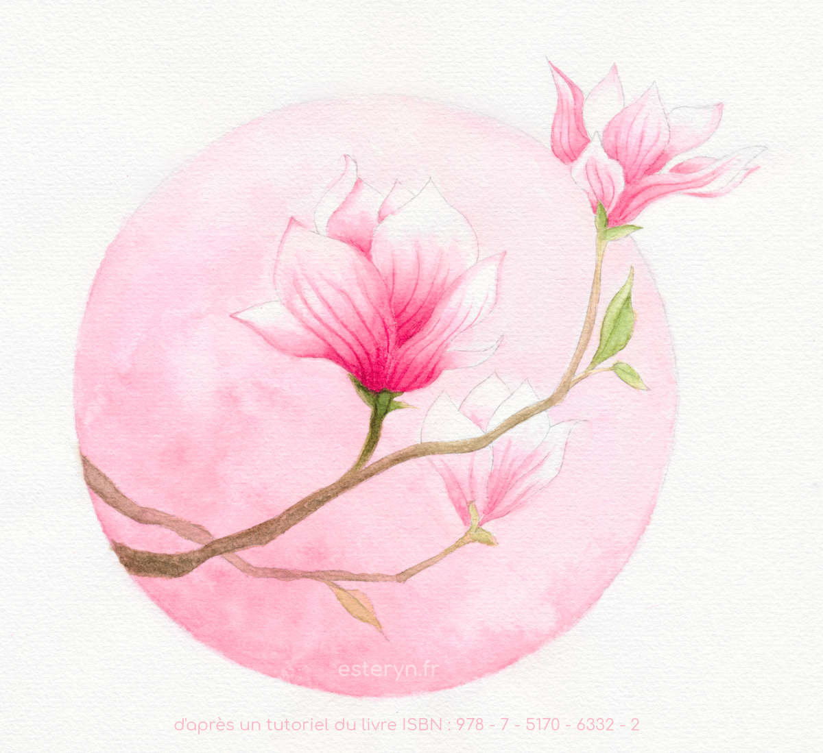 peinture aquarelle de fleurs de magnolia roses et blanches